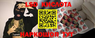 крисы Владимир