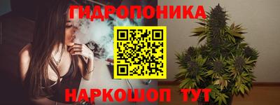крисы Владимир