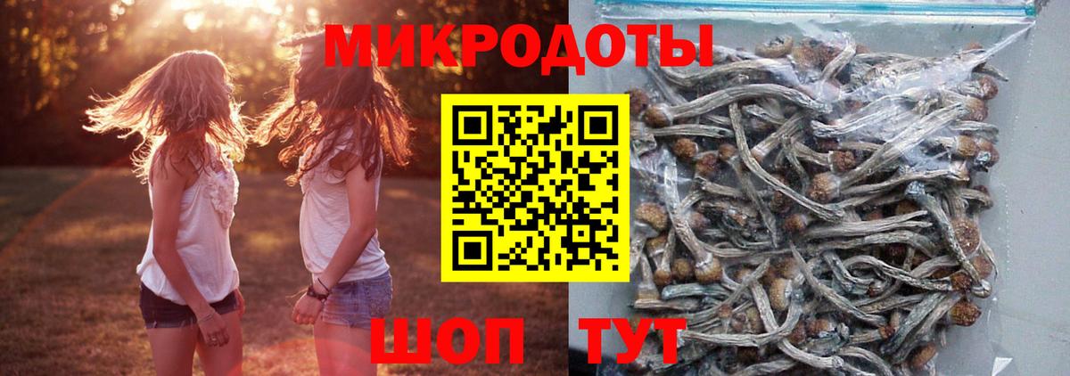 Псилоцибиновые грибы MAGIC MUSHROOMS Биробиджан