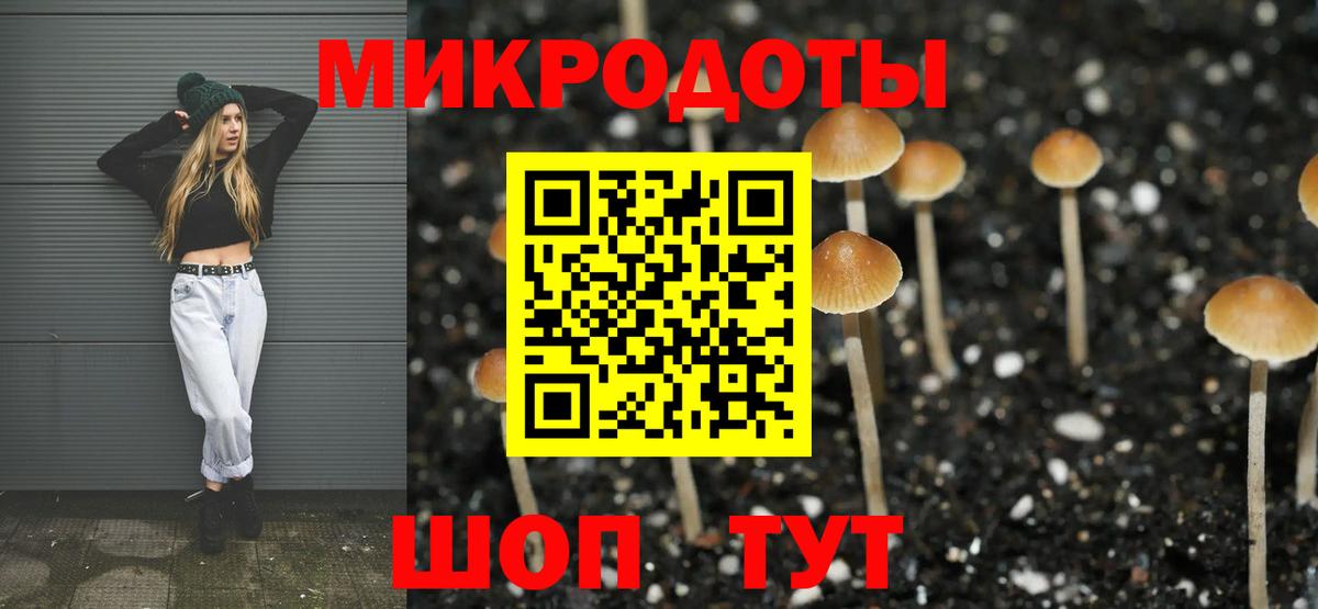 Галлюциногенные грибы Magic Shrooms  Вход с VPN  Биробиджан 